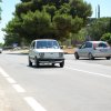 Montevago 2010 (438)